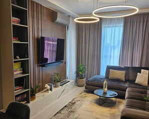Smart TV, fireplace, books