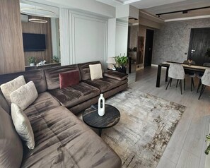 Smart TV, fireplace, books