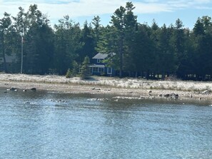 Ein Anwesen am Seeufer, umgeben von dichtem Wald mit einem Haus.