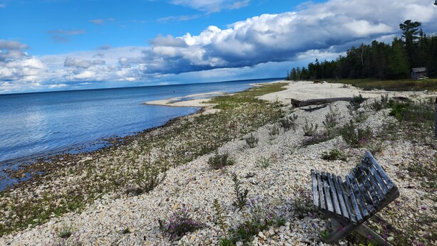 En bænk på en stenstrand med udsigt over havet og en skov i baggrunden.