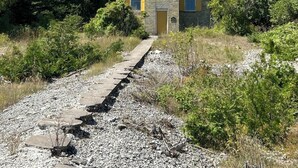 Et fyrtårn med en stensokkel og et glaskuppel, omgivet af tæt skov.