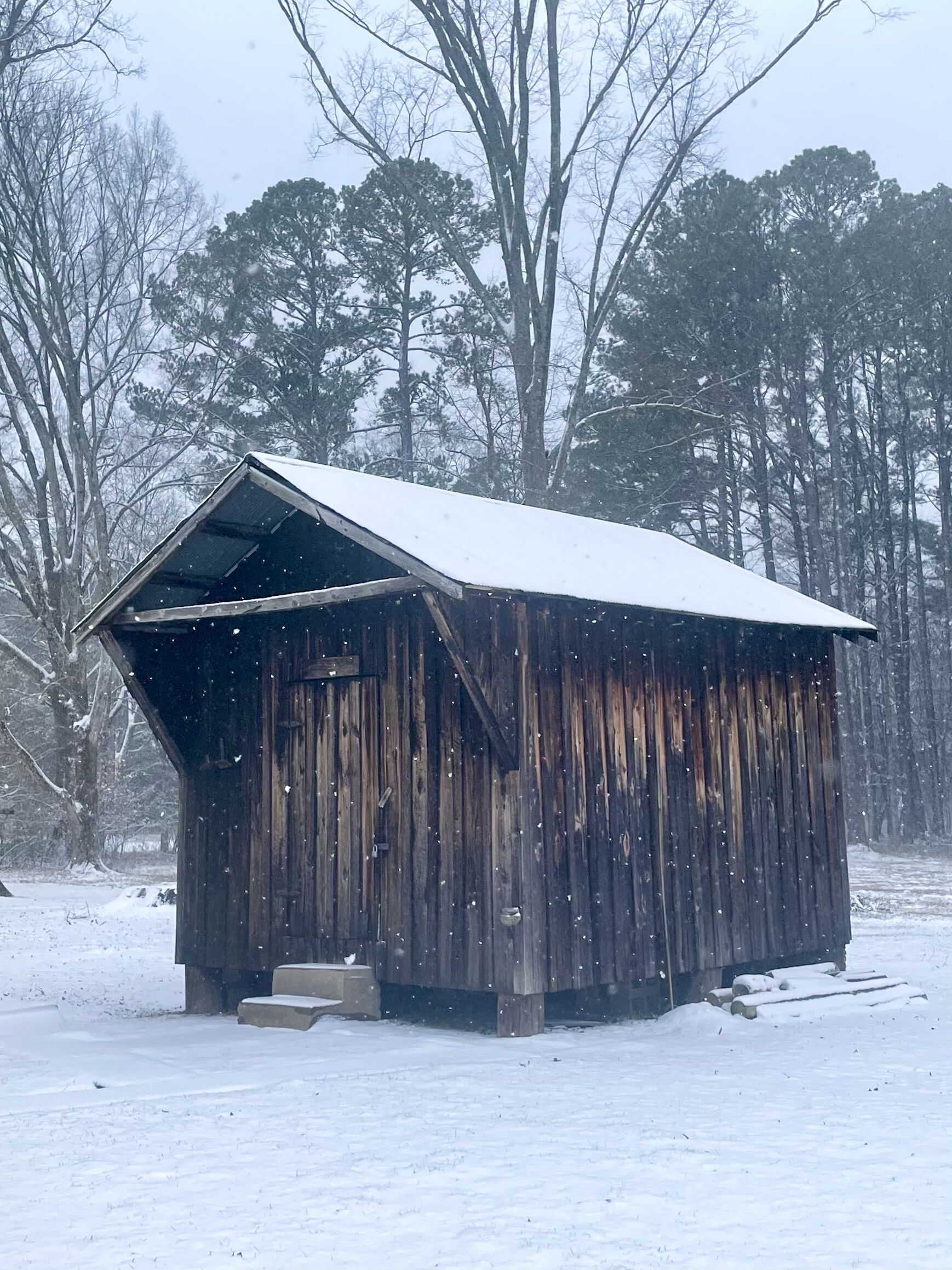 A rustic wooden cabin with a slanted roof, surrounded by snow-covered ground and trees.