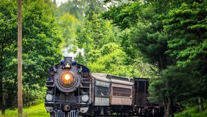 A steam locomotive pulling freight cars through a forested area. - Ranch Style River Bungalow with Fireplace, River & 10 Acres at Houser's Crossing (Tamaqua)