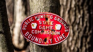 A red sign with white text stating "PUBLIC HUNTING GROUNDS STATE GAME COMMISSION BOUNDARY LINE" attached to a tree. - Ranch Style River Bungalow with Fireplace, River & 10 Acres at Houser's Crossing (Tamaqua)
