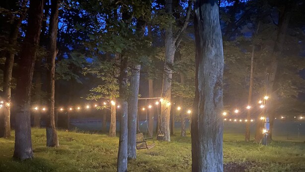A forested area with string lights and a hammock. - Ranch Style River Bungalow with Fireplace, River & 10 Acres at Houser's Crossing (Tamaqua)