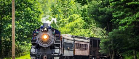 A steam locomotive pulling freight cars through a forested area.