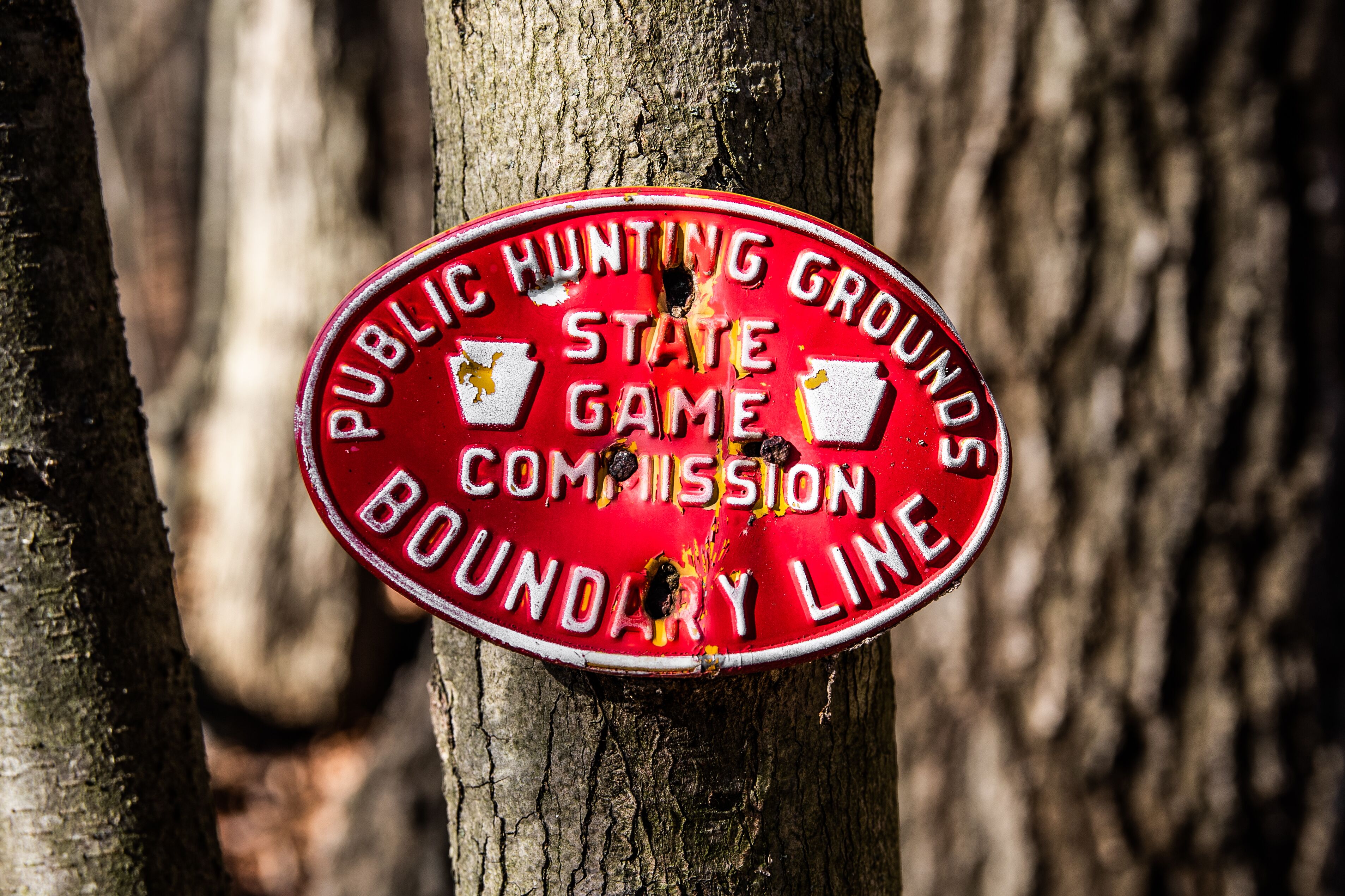 A red sign with white text stating "PUBLIC HUNTING GROUNDS STATE GAME COMMISSION BOUNDARY LINE" attached to a tree.