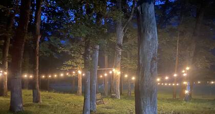 Cozy Retreat, River & Mountain Views, 10-Acres with Train Service to Jim Thorpe