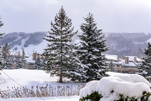 Property grounds - Cozy ski retreat chalet - 3BR & 3BTH - Walk-in Distance to Village! Pet Friendly (The Blue Moutains)