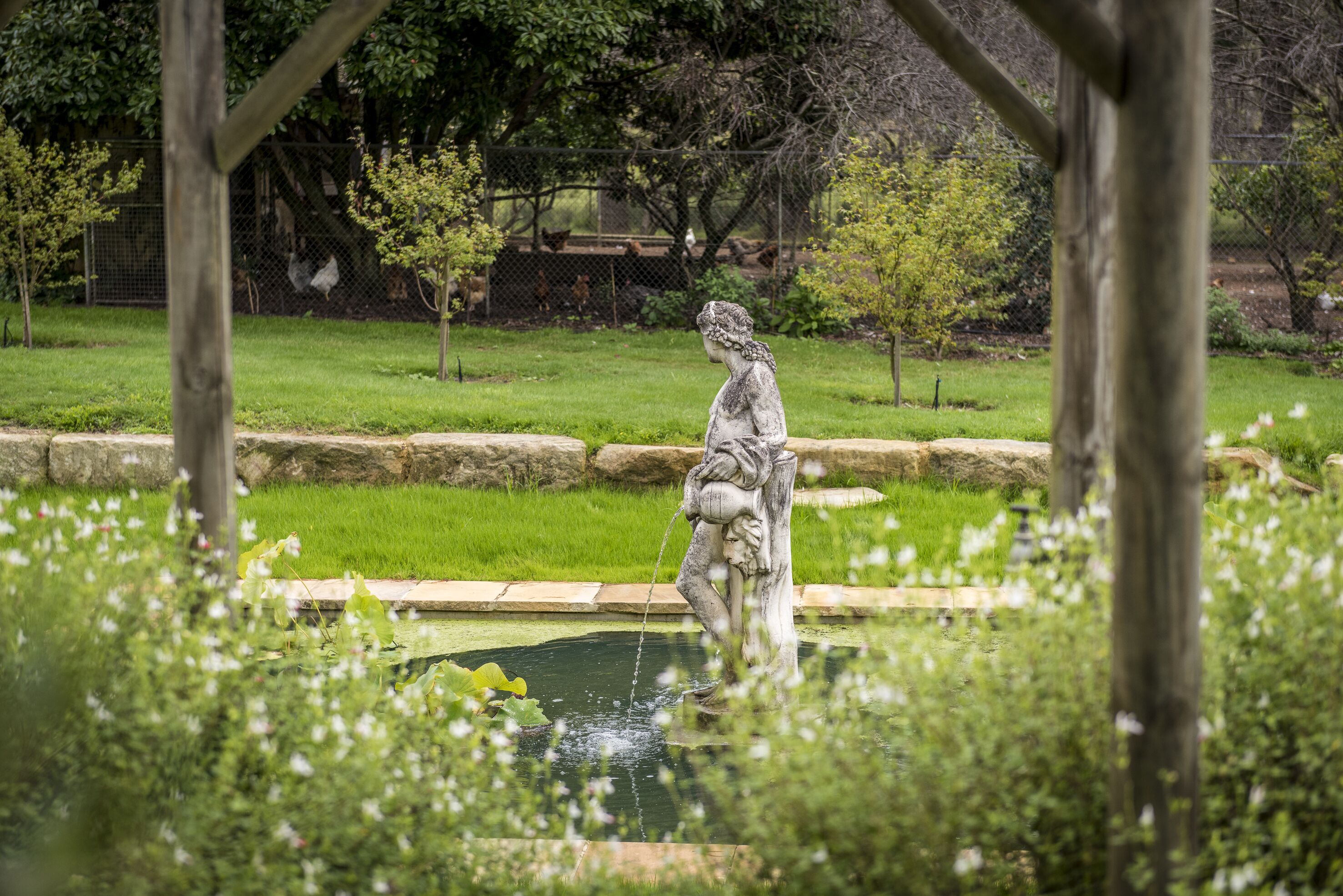 A statue in a garden with a pond, surrounded by greenery and a fence in the background.
