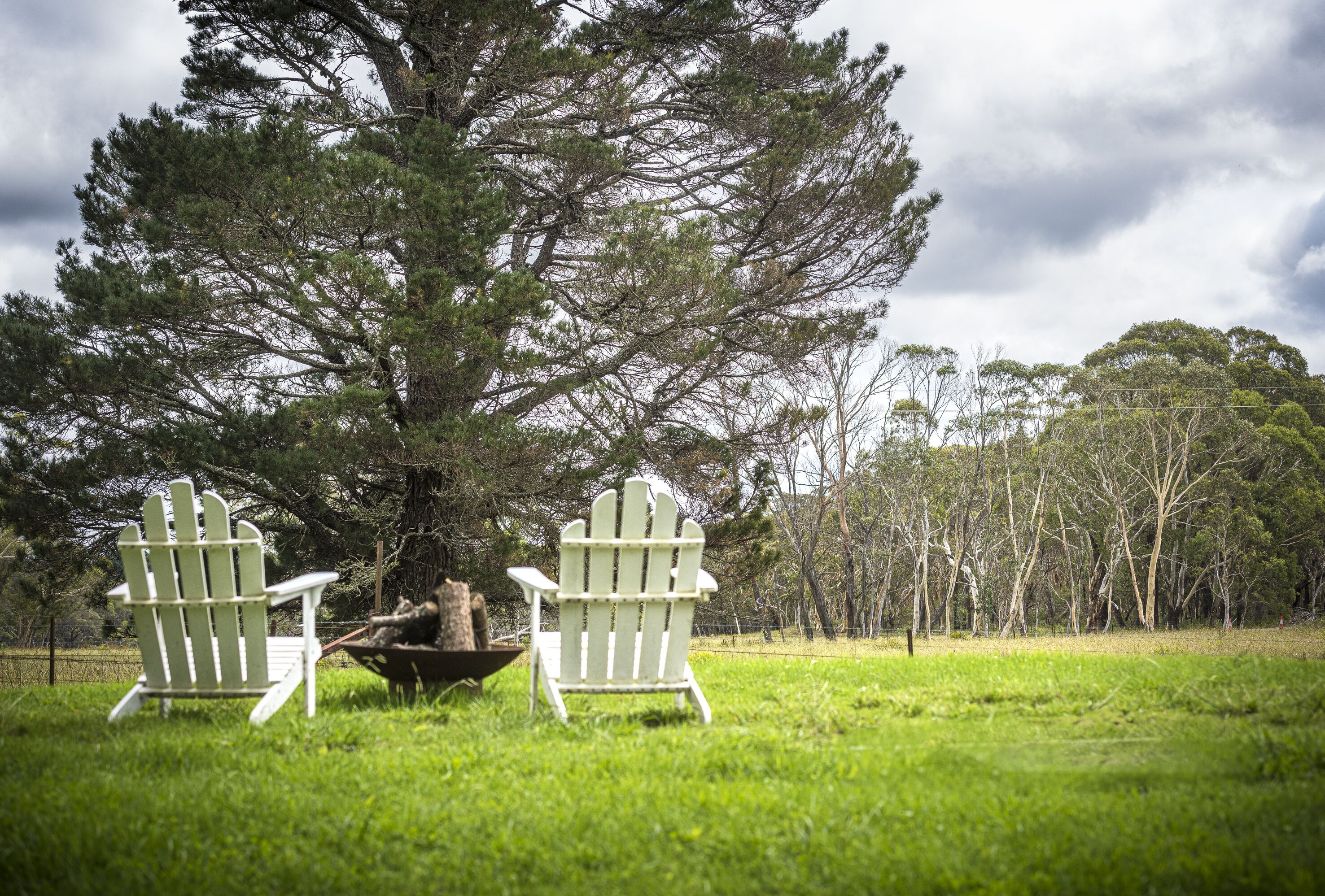 Two Adirondack chairs facing a large tree in a grassy field.