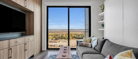 TV, video games, offices