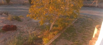 La Cruz Pintá II in Murtas.