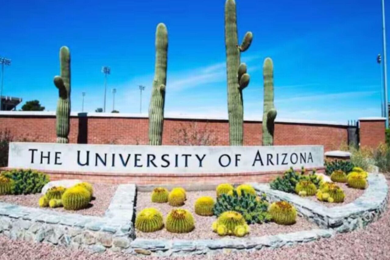 En skylt för University of Arizona, med kaktusar i förgrunden.