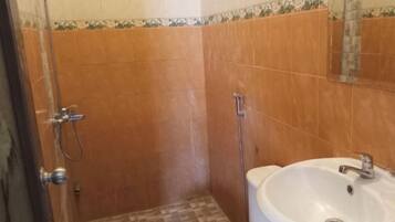 Een badkamer met douche, toilet en wastafel.