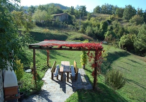 تناول الطعام بالخارج