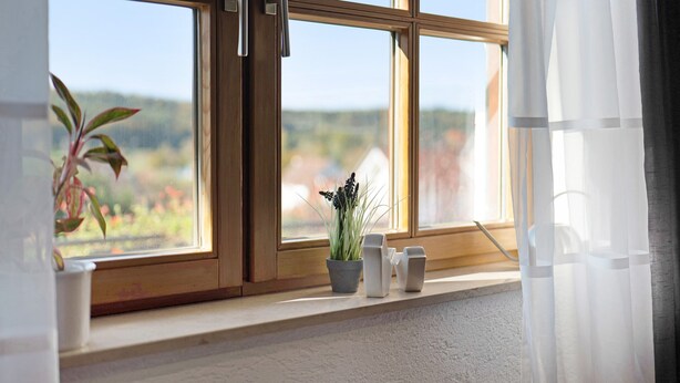 Ein Fenster mit Blick auf eine Landschaft, ein Blumentopf und ein kleines weißes Objekt auf dem Fensterbrett.