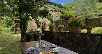 Anfora!! - Sorana ,Tuscany