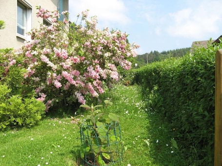 Property grounds. 4-Star Apartment "Prior" with Small Balcony, Garden Access & Wi-Fi