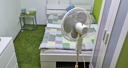 Large 4-Room Apartment with Balcony and Wi-Fi