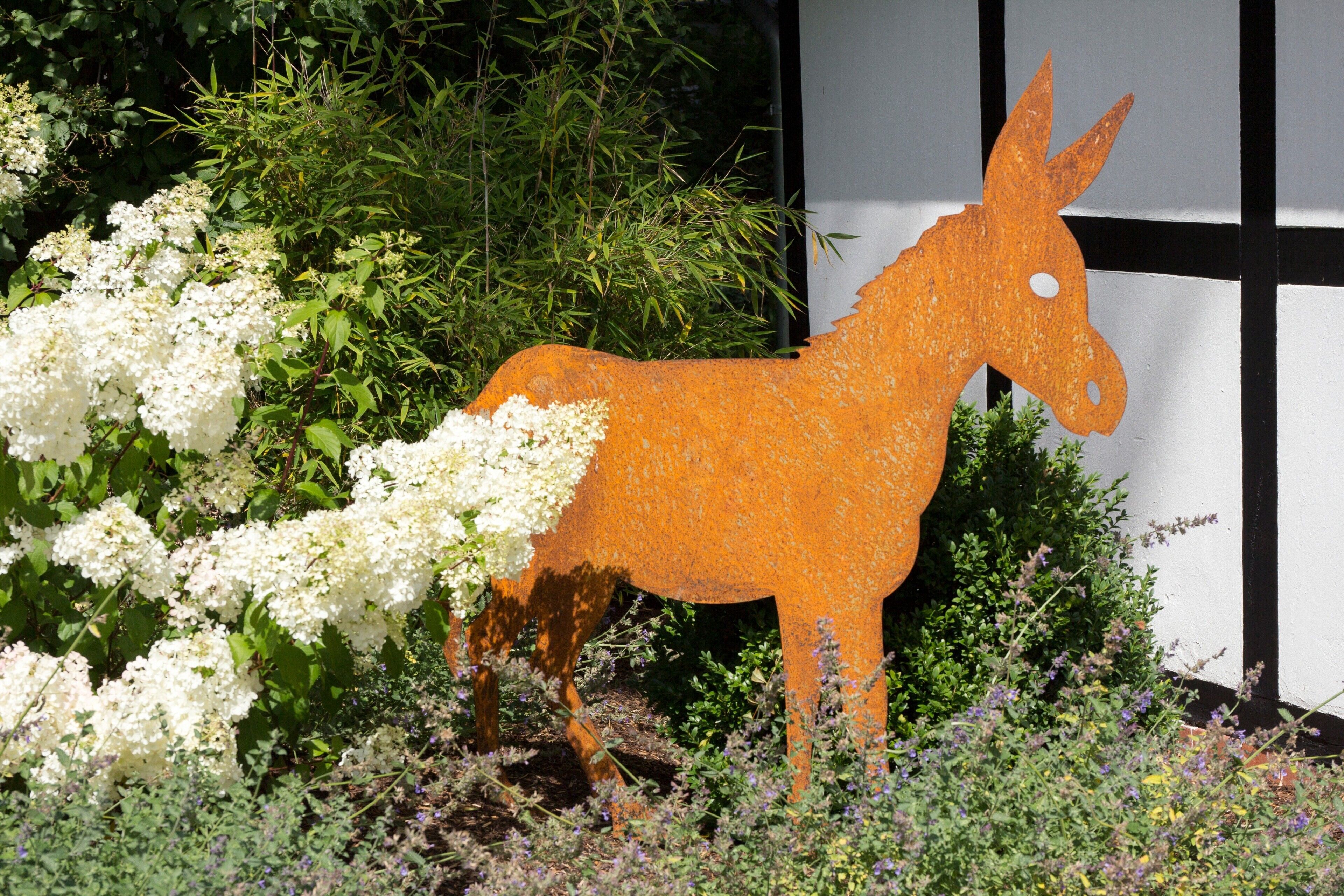 Een tuin met een metalen beeldhouwwerk van een ezel, omgeven door diverse planten en bloemen.