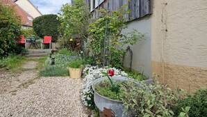 A garden with a gravel path, potted plants, and a red tulip.
