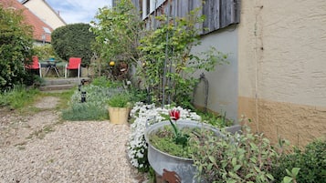 Terrain de l’hébergement