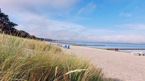 En strand med sandet bredde, græs forgrunden og et roligt hav i baggrunden.