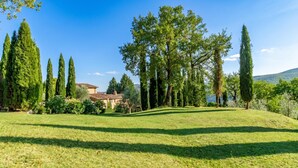A grassy landscape with tall trees and a building with a red-tiled roof. - Casale Al Sole Tra Le Vecchie Vigne, Radda in Chianti (Radda in Chianti)