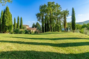 Property grounds - Casale Al Sole Tra Le Vecchie Vigne 6 (Radda in Chianti)