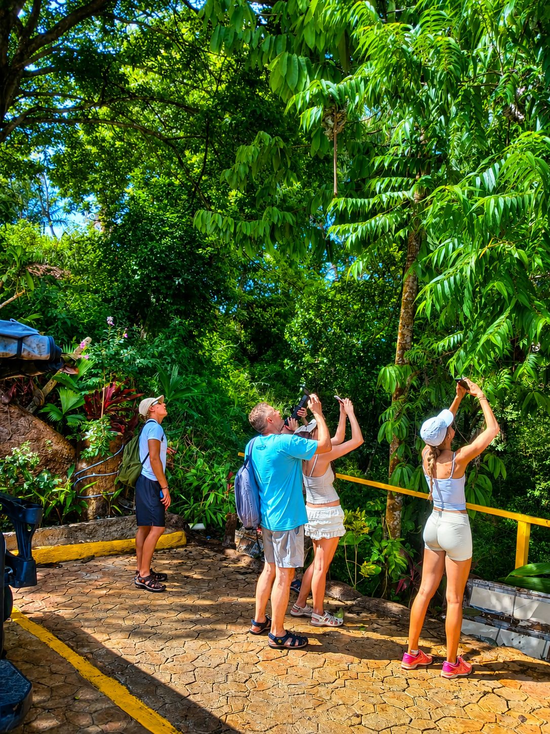 A group of people taking photos in a lush, green outdoor setting with a paved walkway.