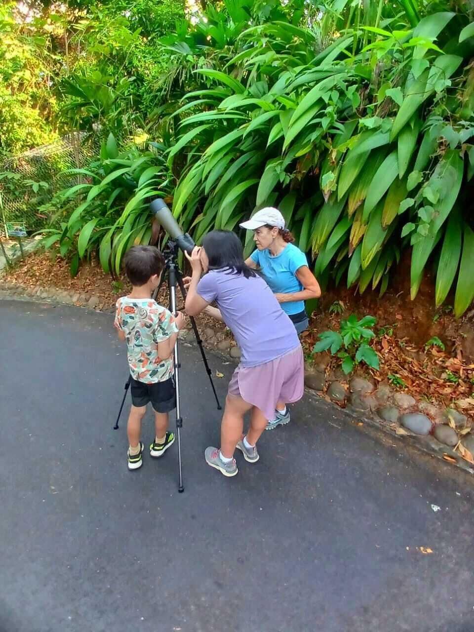 Foto - Mountain Top Park Hotel