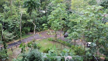 Vista al jardín