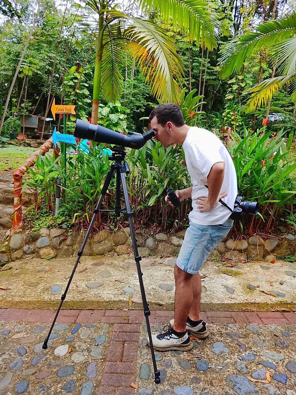 Foto - Mountain Top Park Hotel