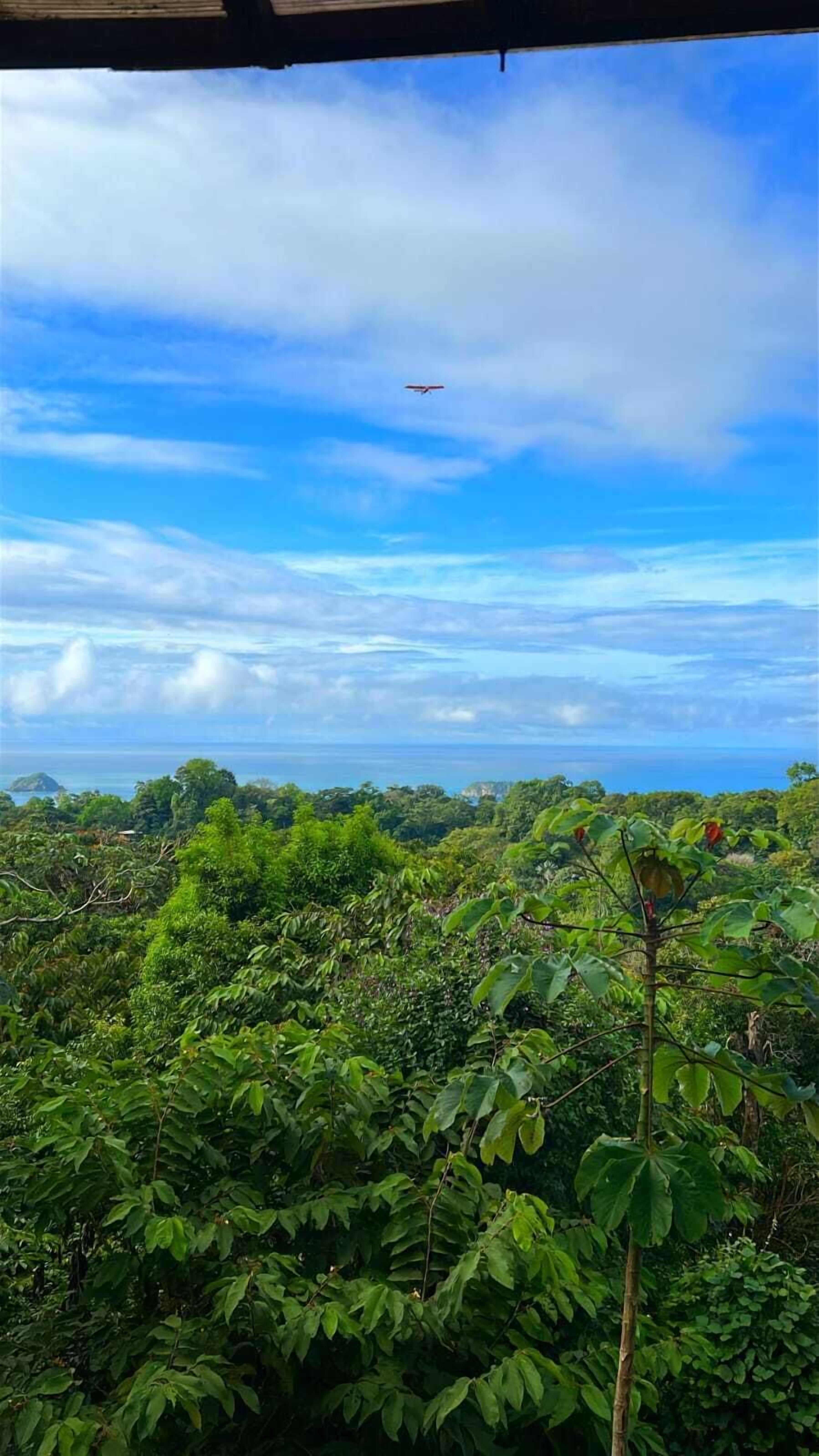 Foto - Mountain Top Park Hotel