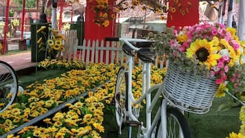 Jardin