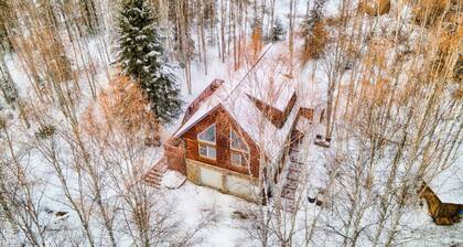 Cozy Basement Apartment & Executive Retreat