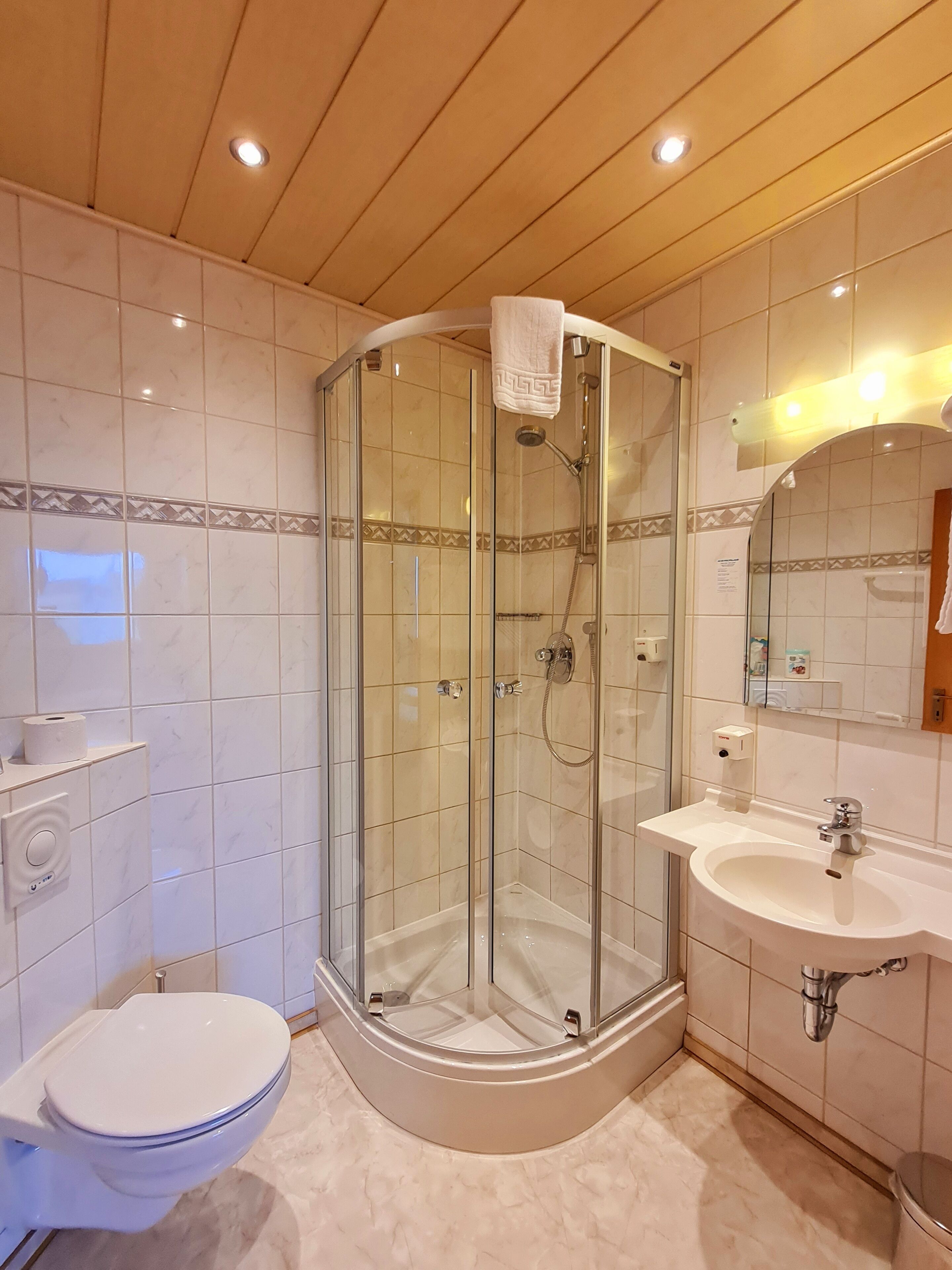 A modern bathroom with a glass-enclosed shower, a toilet, and a sink.