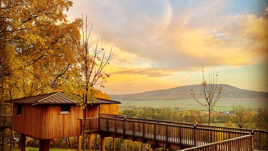 Hotel Waldquelle - Baumhaushotel Aerzen