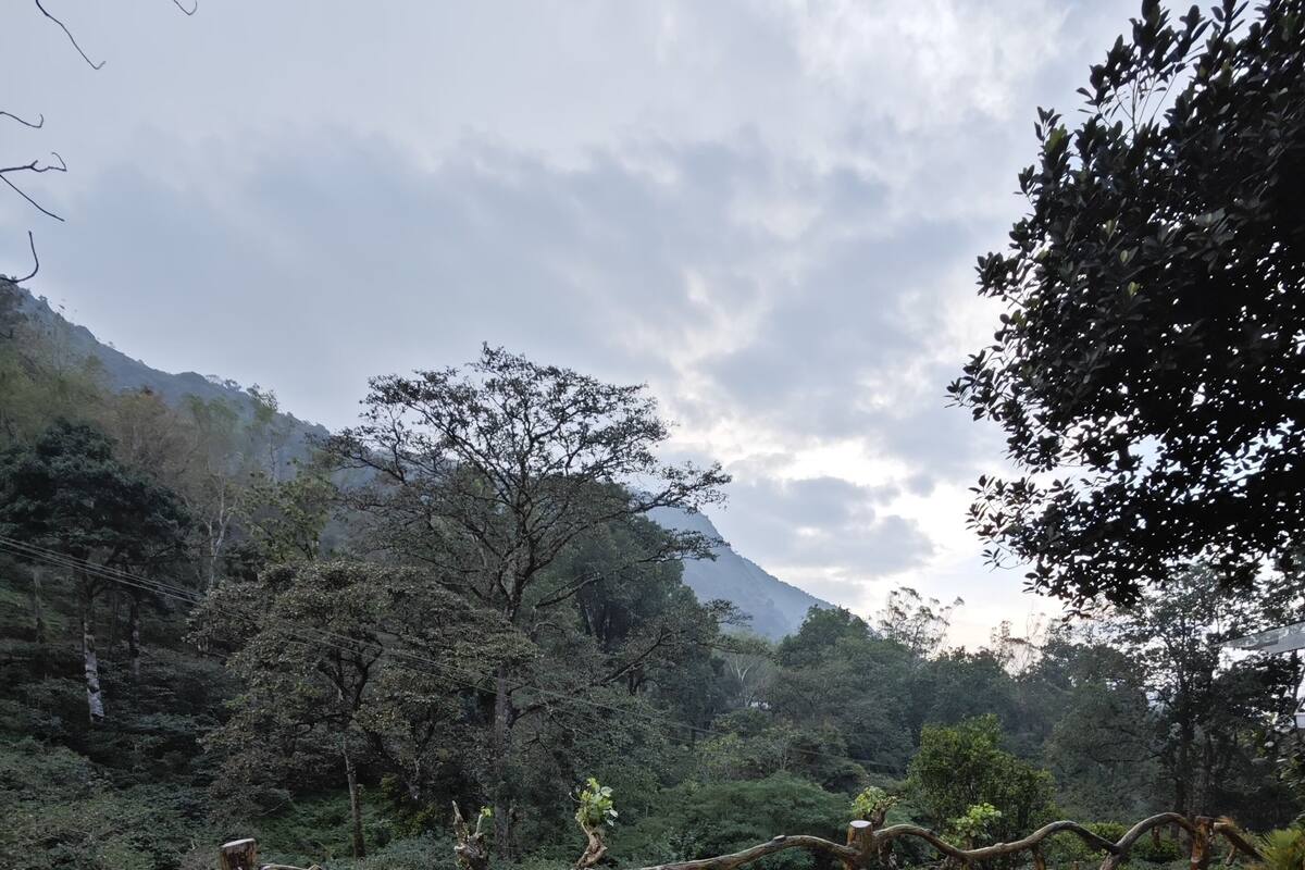 Un espace extérieur aménagé avec un banc et une table, entouré de rochers et de verdure, avec une montagne en arrière-plan.