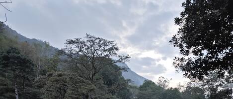 Executive Room | Mountain view