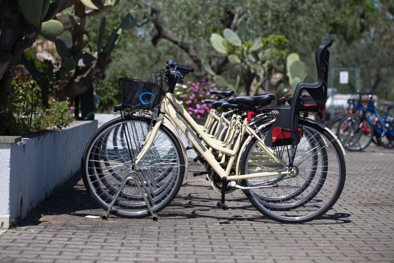 A bicycle parked on a paved surface with a basket attached to the front.