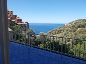 Studio – basic, 1 soverom, sjøutsikt | Terrasse/patio