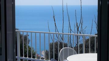 Basic Studio, 1 Bedroom, Sea View | Terrace/patio
