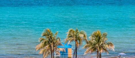 Una spiaggia nelle vicinanze