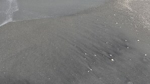 Une plage avec un rivage sablonneux et une mer calme.