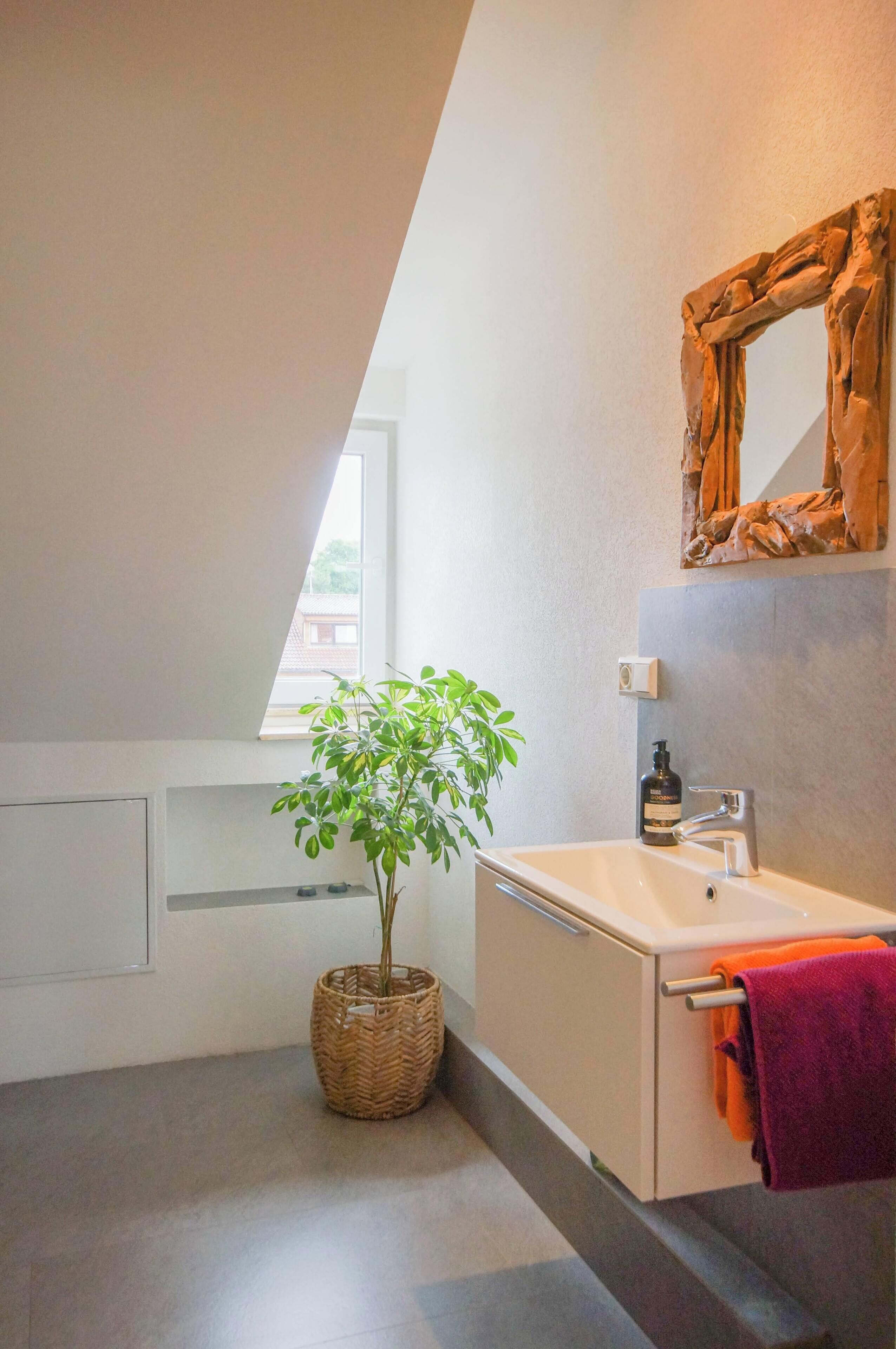 Un baño con un lavabo blanco, un espejo con marco rústico, una planta en maceta y una ventana.