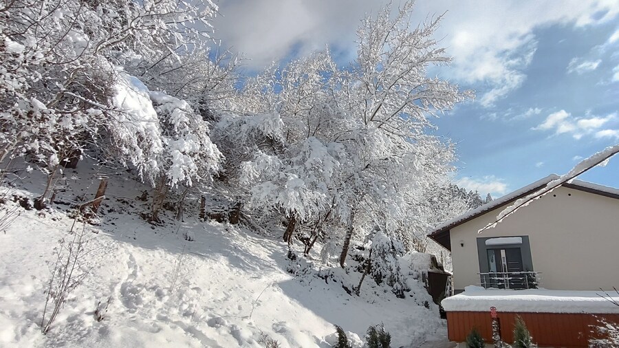 Cozy Apartament Near Redbull Ring and Prabichl