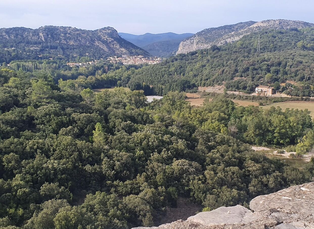 A mountainous landscape with dense forests and scattered buildings.