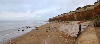 Harvey's Holiday House